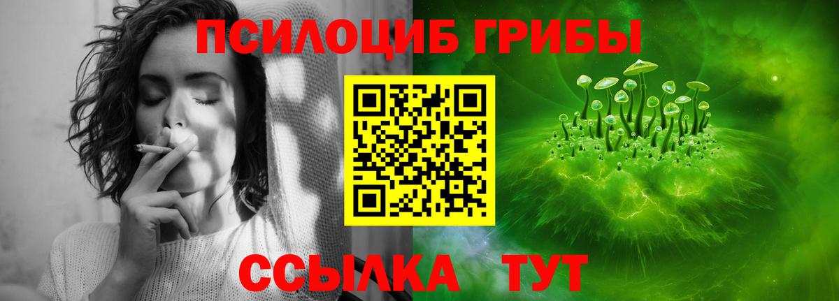 Галлюциногенные грибы Magic Shrooms Челябинск